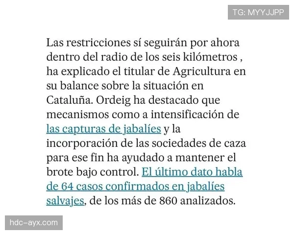 加泰罗尼亚足球荣耀时刻：西甲赛季回顾与竞争力跃升解析